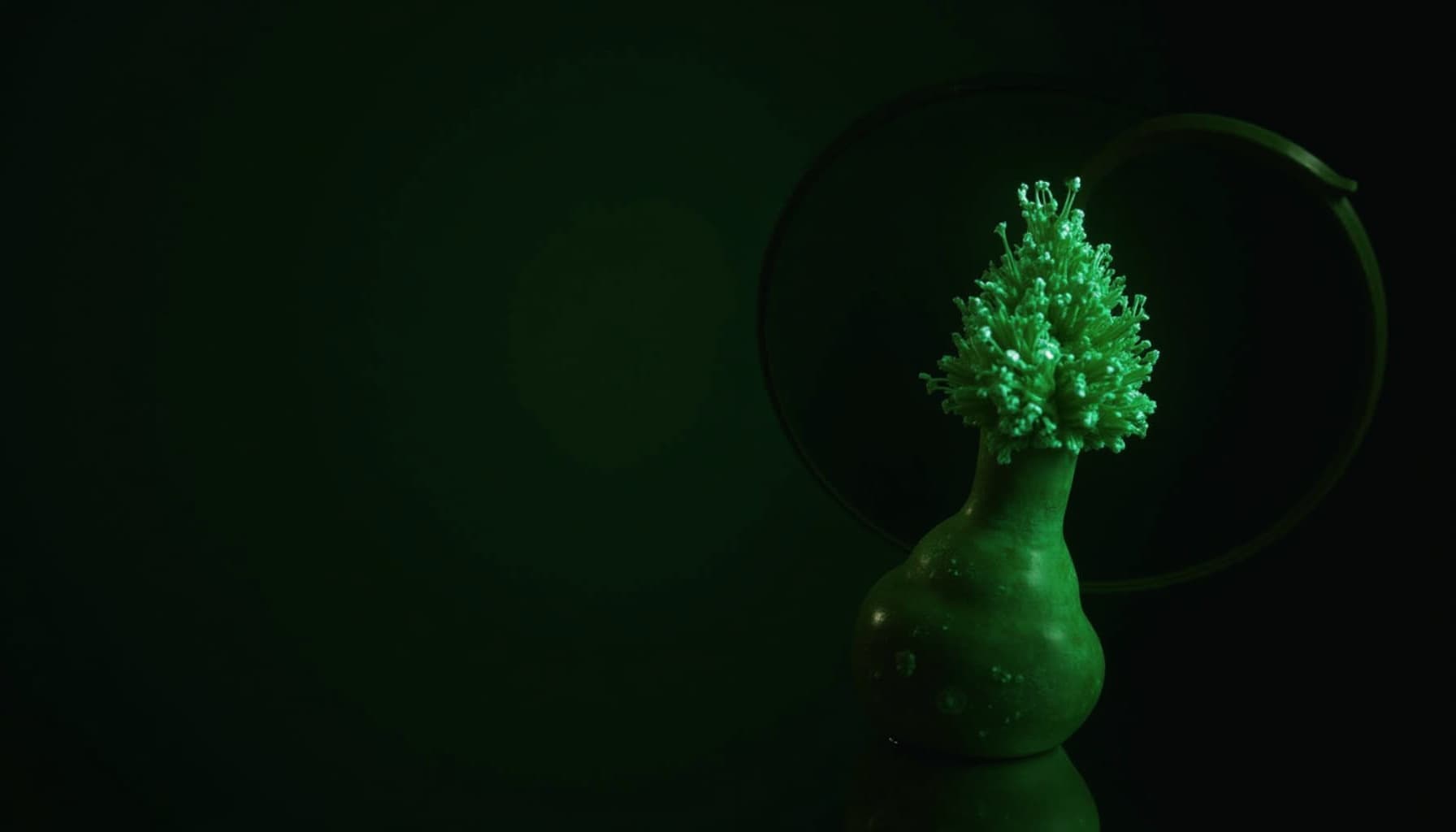 Anthropic article thumbnail